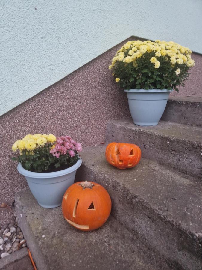 Ferienwohnung Am Gruenen Haus Garz  Esterno foto